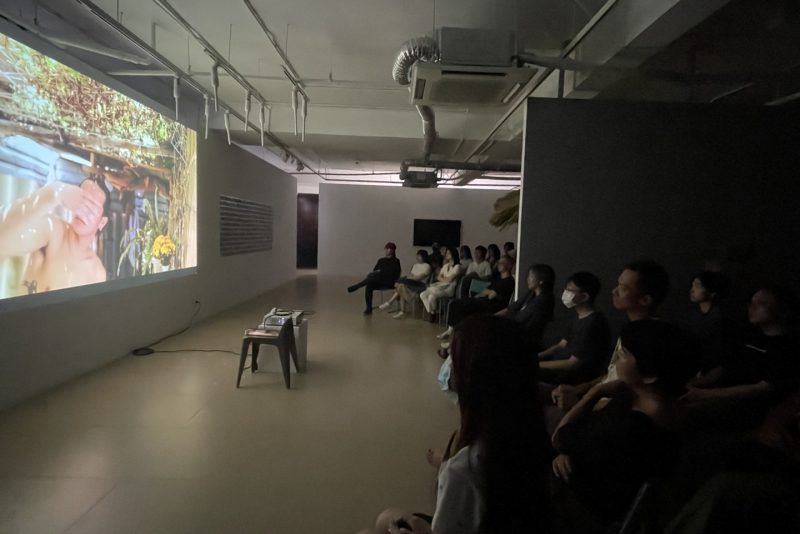 A screening program of still and moving images with Ripp Nguyen & Nhat Huynh-Vu