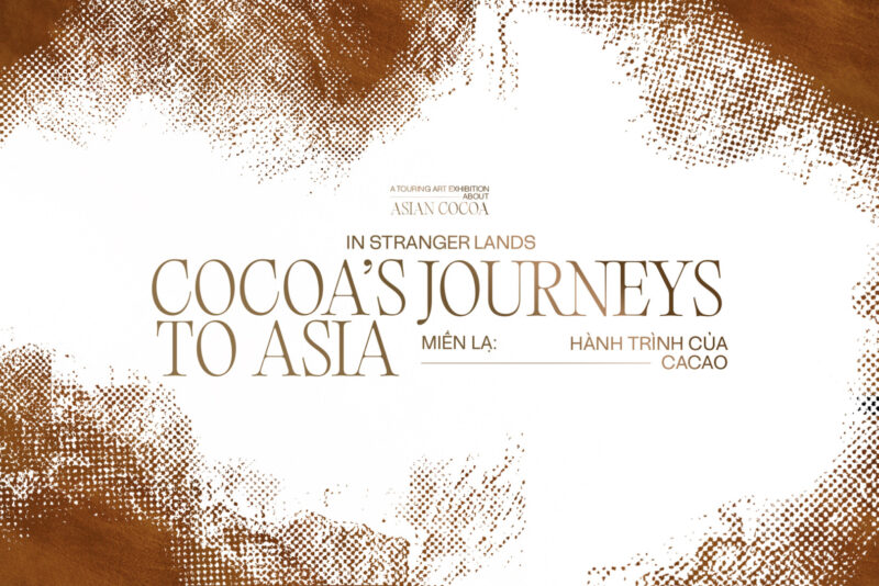 Miền Lạ: Hành trình của Cacao